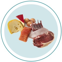 مواد پروتئینی